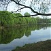 Совхозный пруд в городе Москва