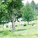 Springwell Danish Cemetery in Omaha, Nebraska city