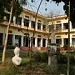 COLLEGE OF ARTS & CRAFTS  in Patna city