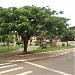 Praça do Kennedy na Rolândia city