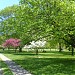 Bill Duncan Park in Yellow Springs, Ohio city