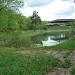 Пруд в системе реки Городни (ru) in Moscow city