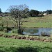 Lago e Nascente (Jardim do Lago) na Rolândia city