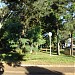Bosque do Manoel Müller na Rolândia city