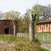 Pozostałości po przedwojennej stadninie koni in Braniewo city