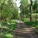 Просека от Чагинских прудов до тропинки от ул. Головачёва в городе Москва
