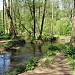 Пойма реки Пономарки (Чурилихи) в городе Москва