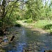 Устье болотистого левого притока реки Чурилихи (Пономарки) в городе Москва