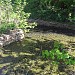 Декоративный пруд с берегами из натурального камня в городе Москва