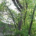 Демонтированный опилкопровод в городе Москва