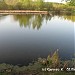 Пруд в городе Долгопрудный