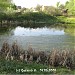 Заболоченный пруд в городе Долгопрудный