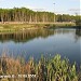 Пруд в городе Москва