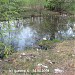 Болотная канава в городе Долгопрудный