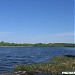 Котовский залив в городе Долгопрудный