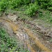 Открытый участок реки Ходынки в городе Москва