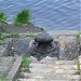 Причал в городе Москва