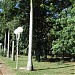 Bosque do Manoel Müller na Rolândia city