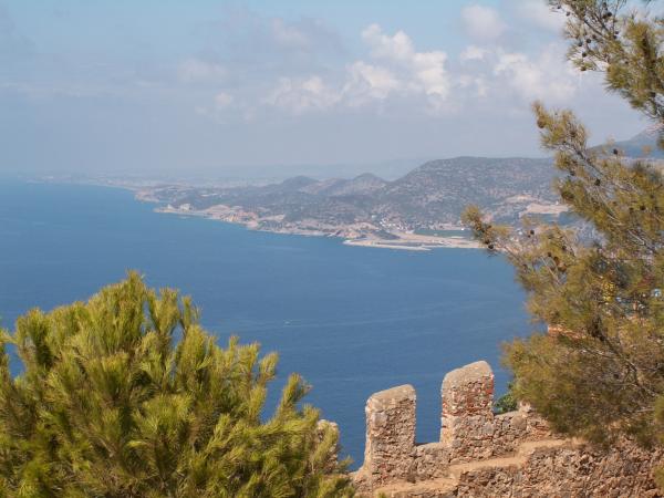 wikimapia