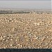 مقبرة وادي السلام في ميدنة النجف 