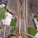 Steel Vengeance in Sandusky, Ohio city