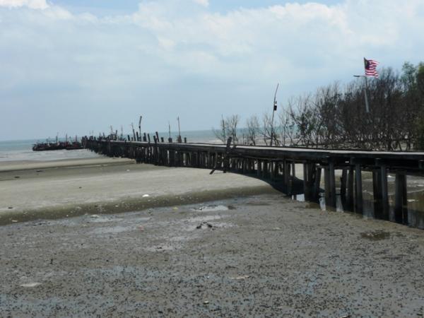 Sepat 桥 tanjung 情人 丹绒士拔