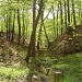 Uroczysko Szydłówka in Zebrzydowice city