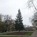 Parcul central 