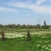 Старое кладбище в городе Ейск