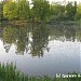 Большой (Нижний) Старомарковский пруд в городе Москва