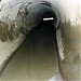 Демонтированный коллектор реки Нищенки в городе Москва
