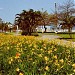 Jardins da Praia de Santos