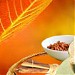 WIZERTECH INFORMATICS PVT LTD in Raipur city