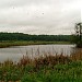 Тереховское болото в городе Москва