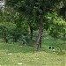 Adventure Park, Telaga Golf Sawangan di kota Depok