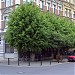 Zu den vier Linden in Stadt Braunschweig