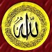 منزل الحاج حميده بيومى ابوبكر