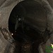Начало малого коллектора реки Чертановки (ru) in Moscow city