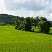 Devihasol