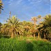 Hormozgan