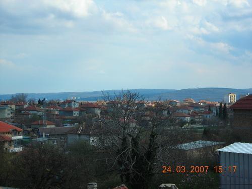 Тополи