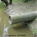 Впадение в р. Лихоборку сточных вод в городе Москва
