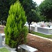 Fotos  do local  na Rolândia city