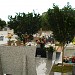 Fotos  do local  na Rolândia city