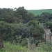 Nascente do Ribeirão Caviuna na Rolândia city
