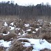 Алёшкинское мезотрофное болото в городе Москва