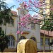 Colégio Estadual Souza Naves na Rolândia city