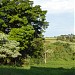 Bosque da Vidrolandia na Rolândia city