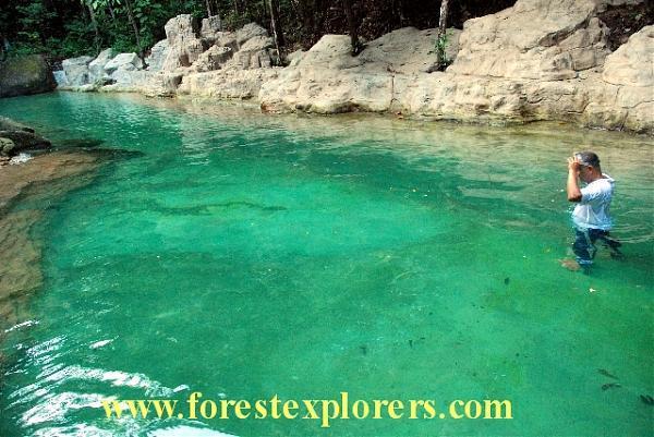 Taman Rimba Rekreasi Teluk Bahang
