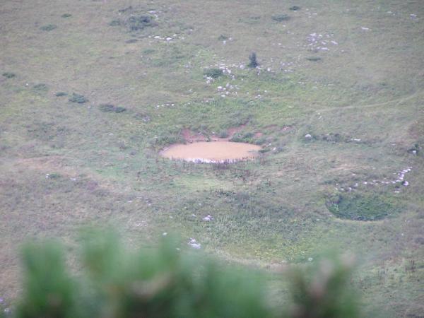 рыбалка в хамышках рыбалка в хамышках